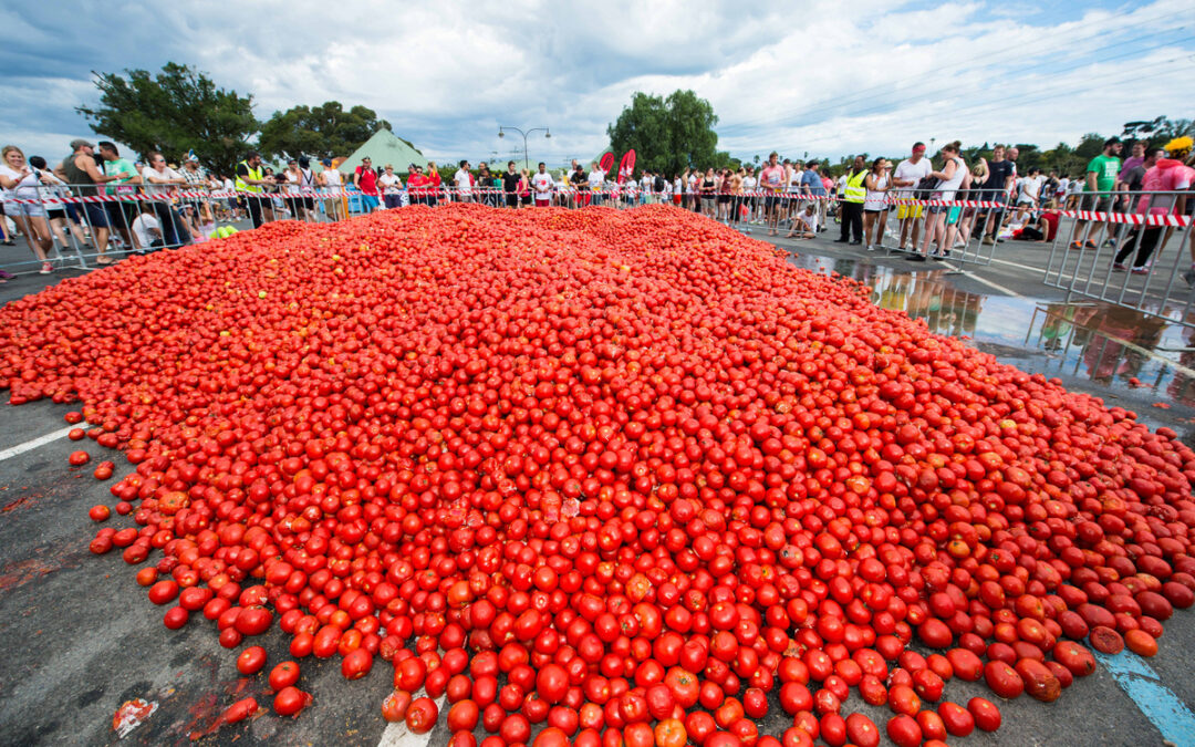 Produce Fun Fact: Tomatoes