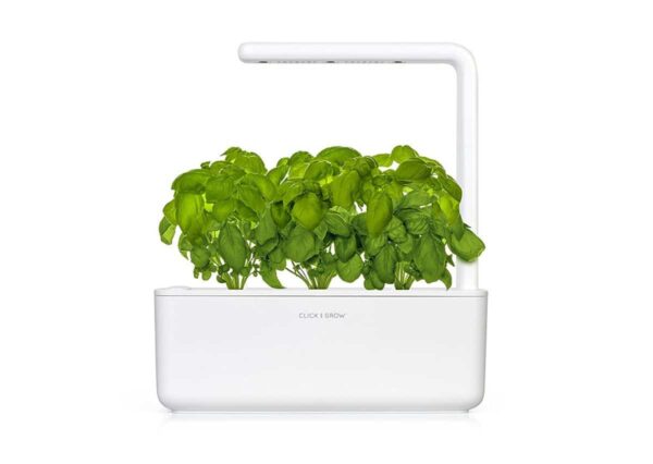 Desktop Hydroponic System