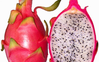 Try Dragon Fruit at Ponics Produce in Edgerton Wi