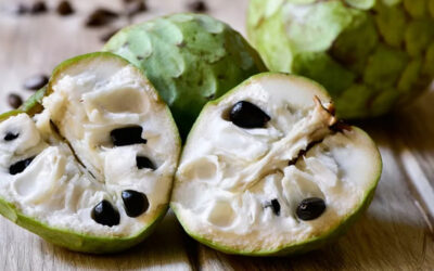 Cherimoya – Custard Apple – Sugar Apple, all the Same Fruit