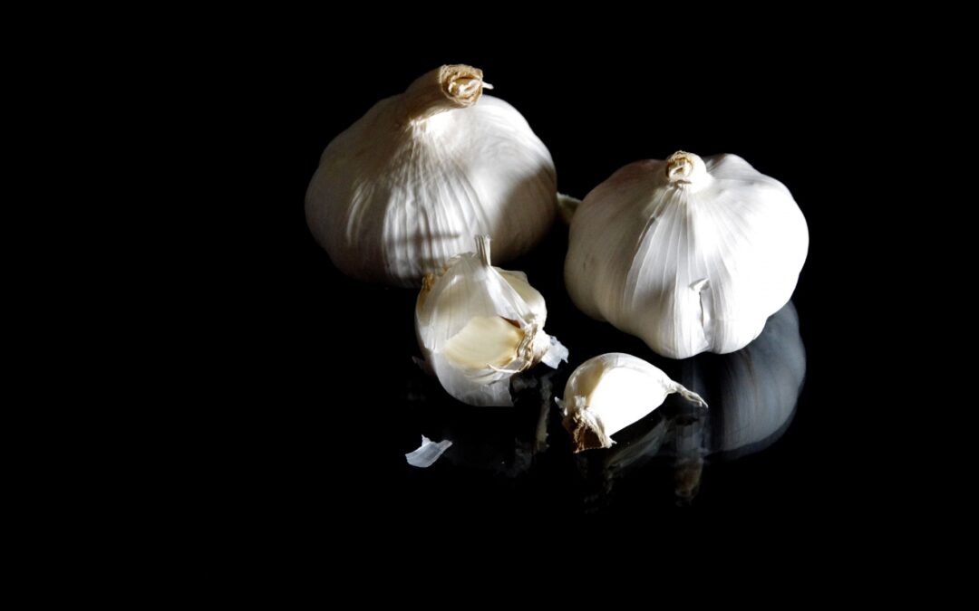 Why do Humans think Garlic Is Tasty?